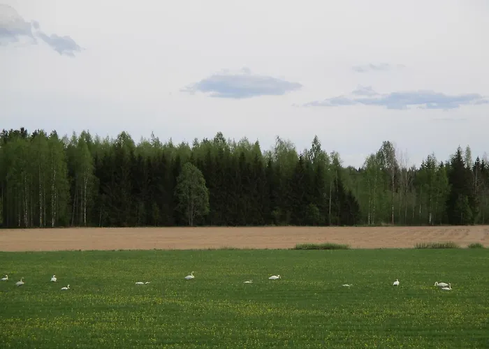 Motell Krouvin Camping - *